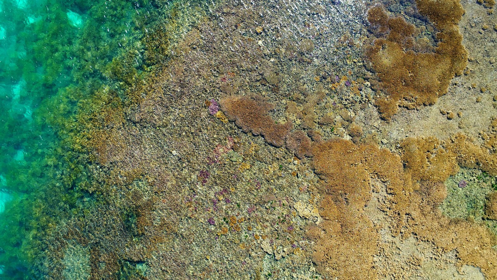 an aerial view of a body of water